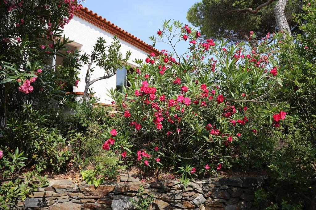 Domaine Val Auclair Villa Bleu Terrasses Port Vendres Extérieur photo