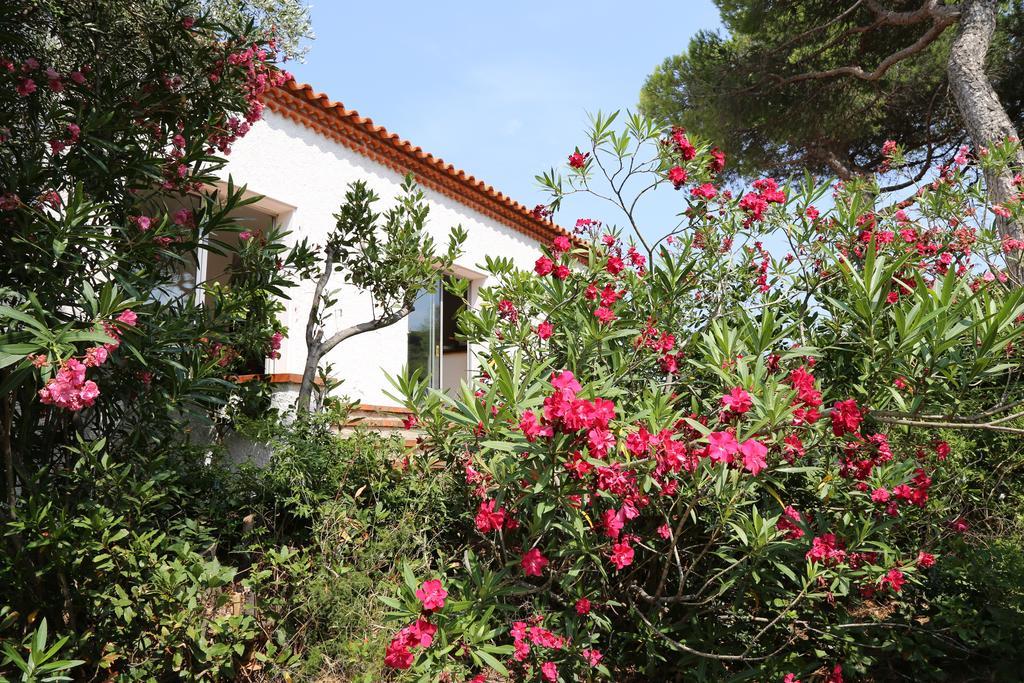 Domaine Val Auclair Villa Bleu Terrasses Port Vendres Extérieur photo