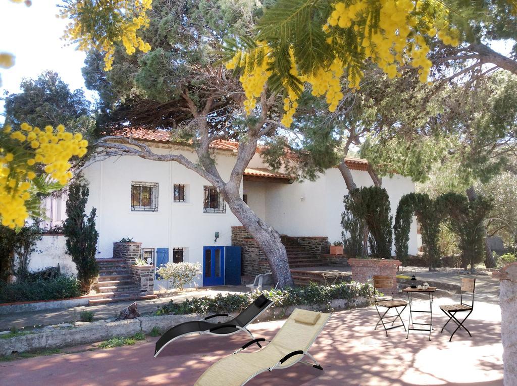 Domaine Val Auclair Villa Bleu Terrasses Port Vendres Extérieur photo