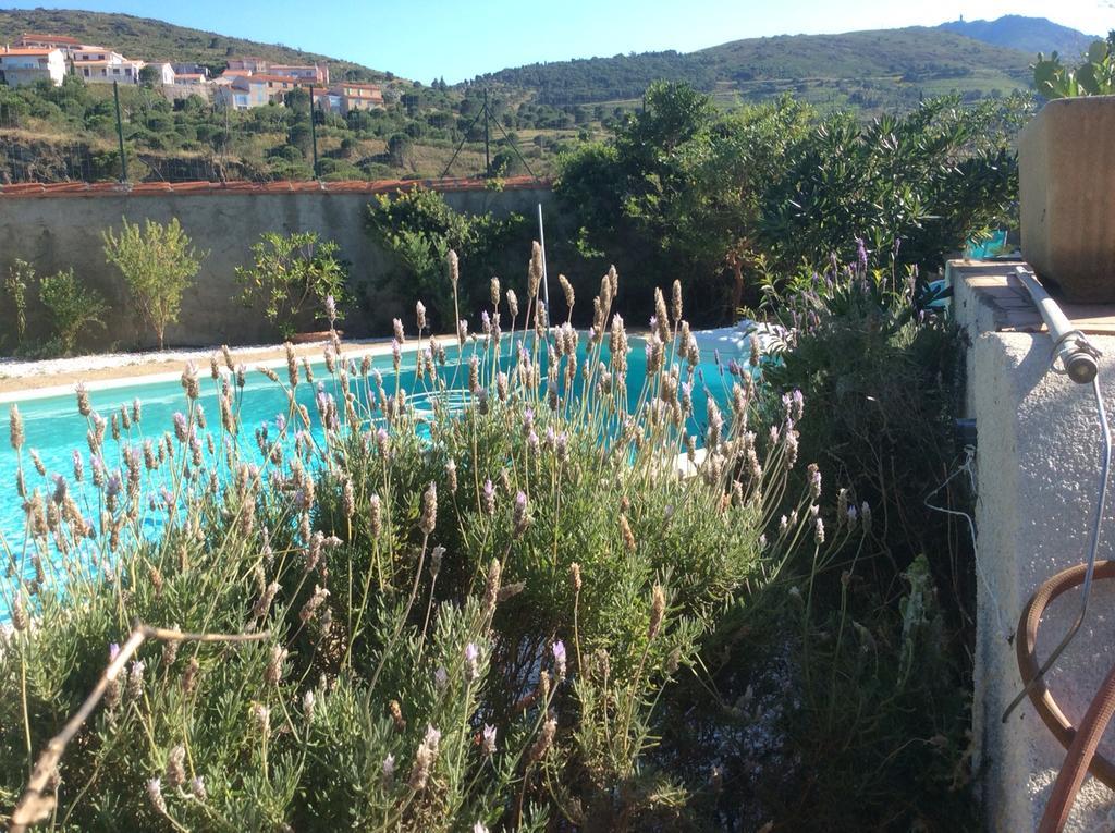 Domaine Val Auclair Villa Bleu Terrasses Port Vendres Extérieur photo